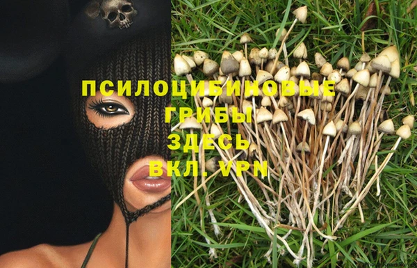 прущая мука Волоколамск