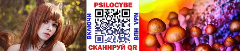 darknet официальный сайт  Королёв  Галлюциногенные грибы Psilocybine cubensis 